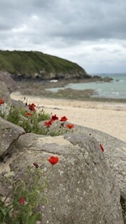 La côte nord de la Bretagne : du Mont Saint Michel à Morlaix - Photo partagée par Elisa