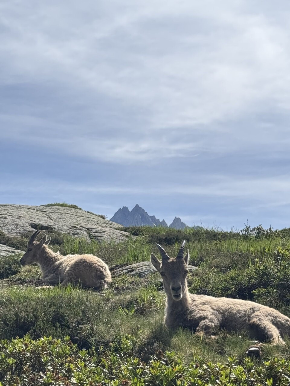 Tour du Mont Blanc - Classic 8-Day - Photo partagée par Lorrae
