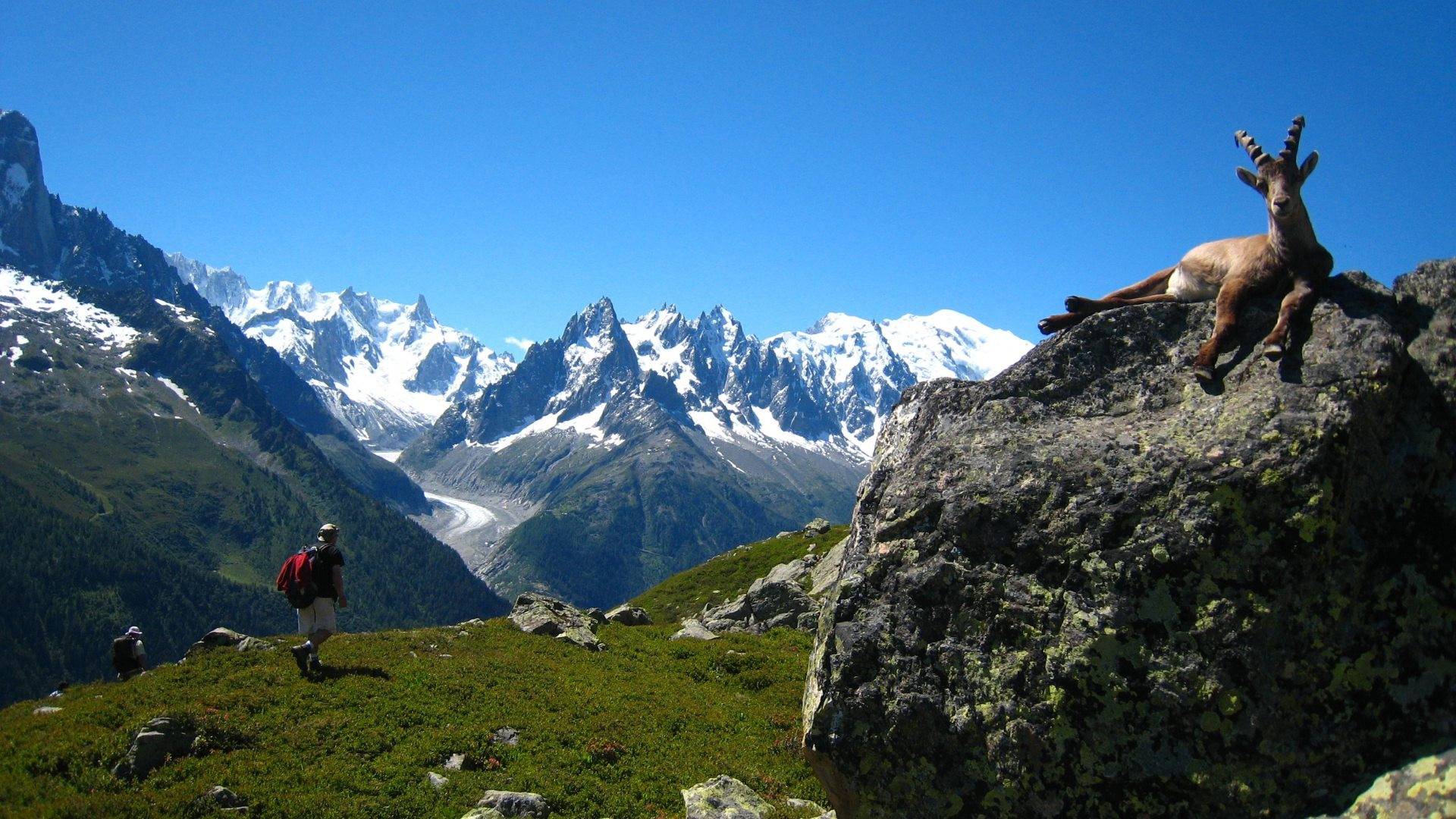 fralp1050-mont-blanc-as-seen-from-the-aiguilles-rouges