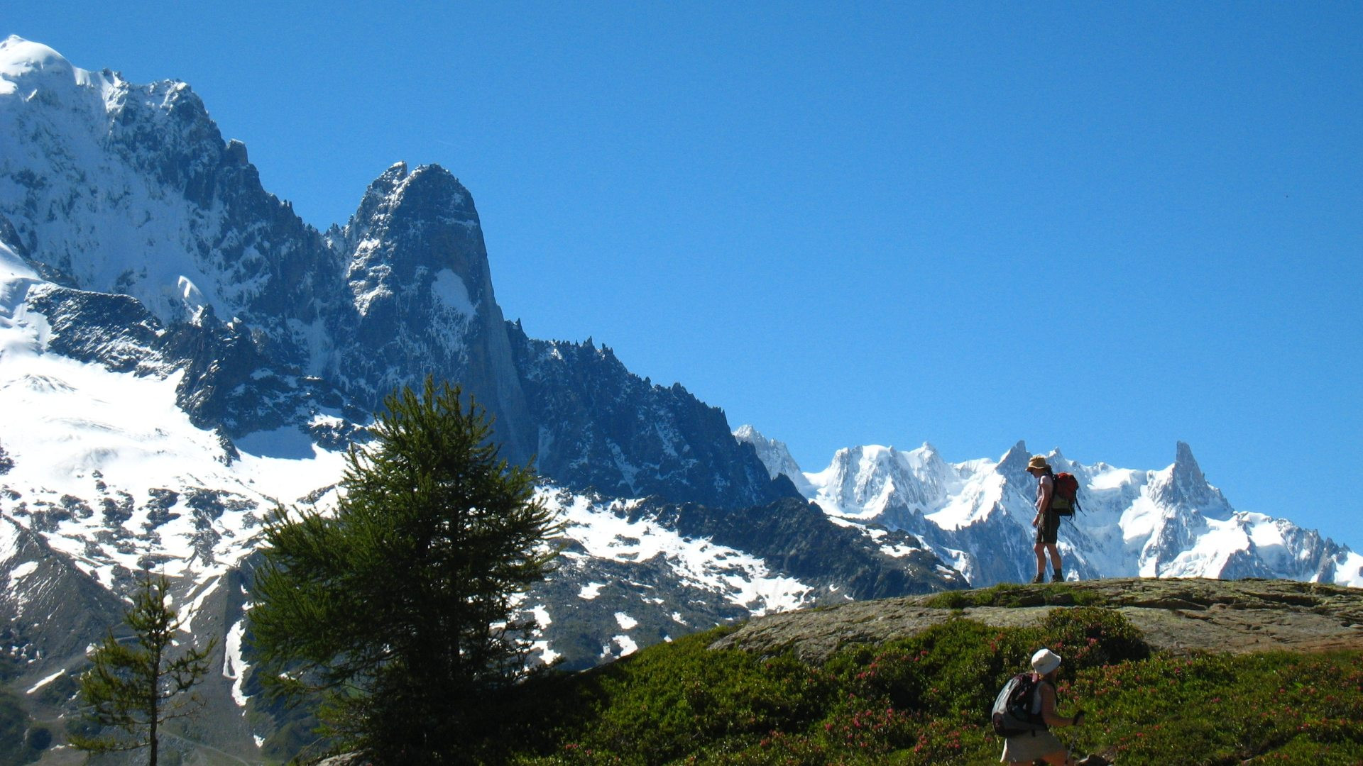fralp1050-tour-du-mont-blanc-12-days