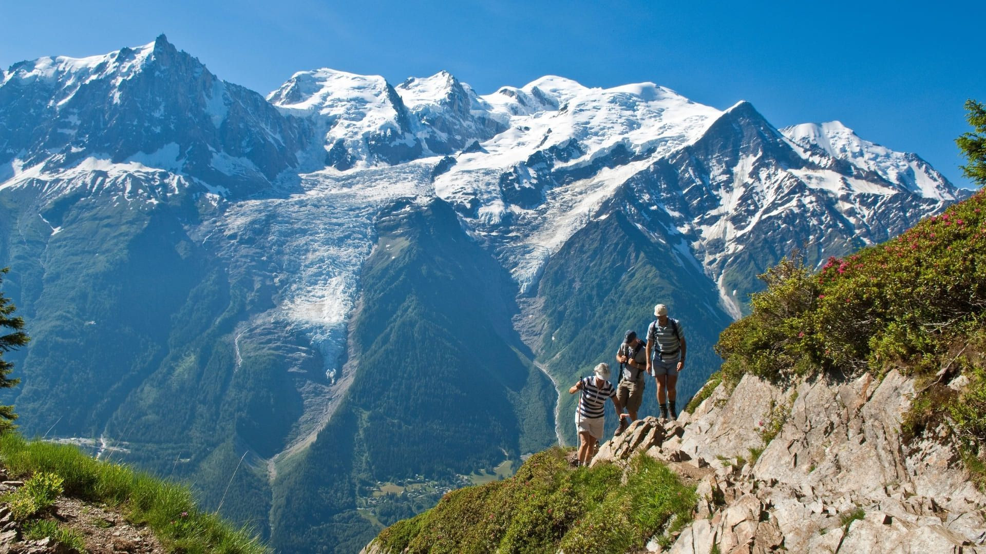 Randonneurs face au massif du Mont-Blanc - Tour du Mont-Blanc - Alpes, France