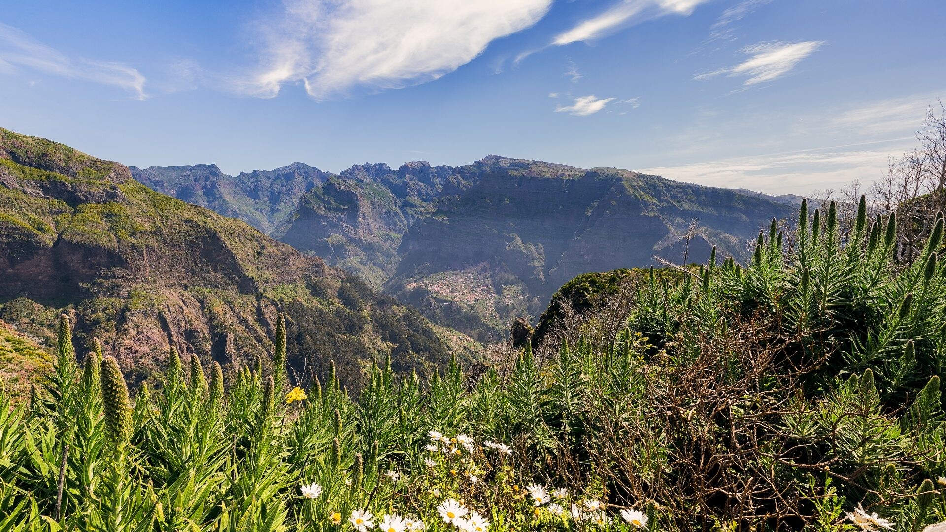prtlp0001-boca-da-corrida-madeira