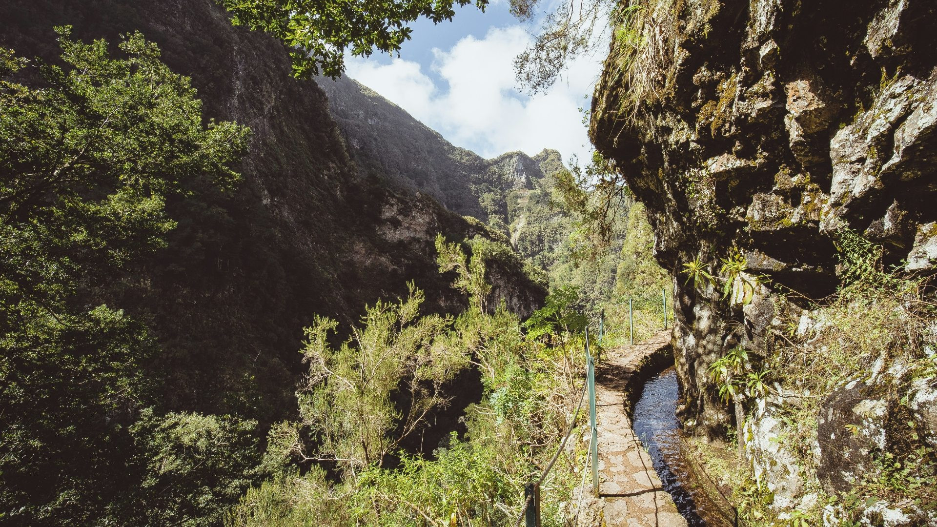 prtlp0001-levada-do-canical