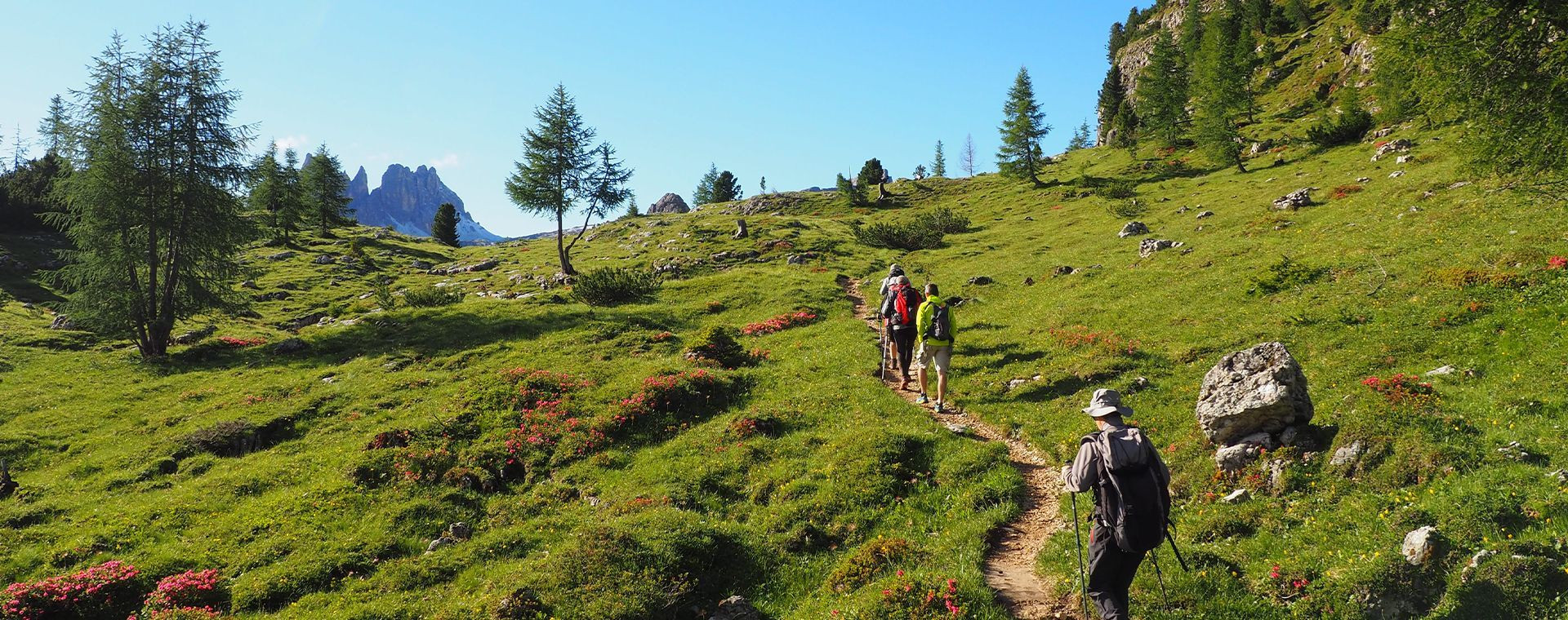 Sur La Route De Passau Giau C Thomas Praire - Italie