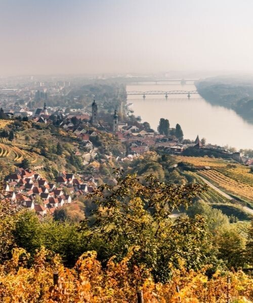 Vue sur Krems et le Danube depuis les vignobles - Wachau - Autriche