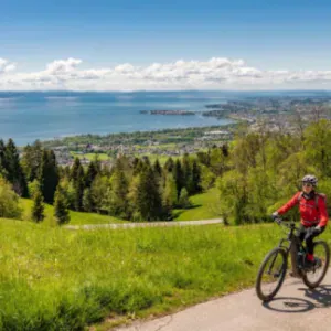 Lake Constance and Rhine Falls by Bike